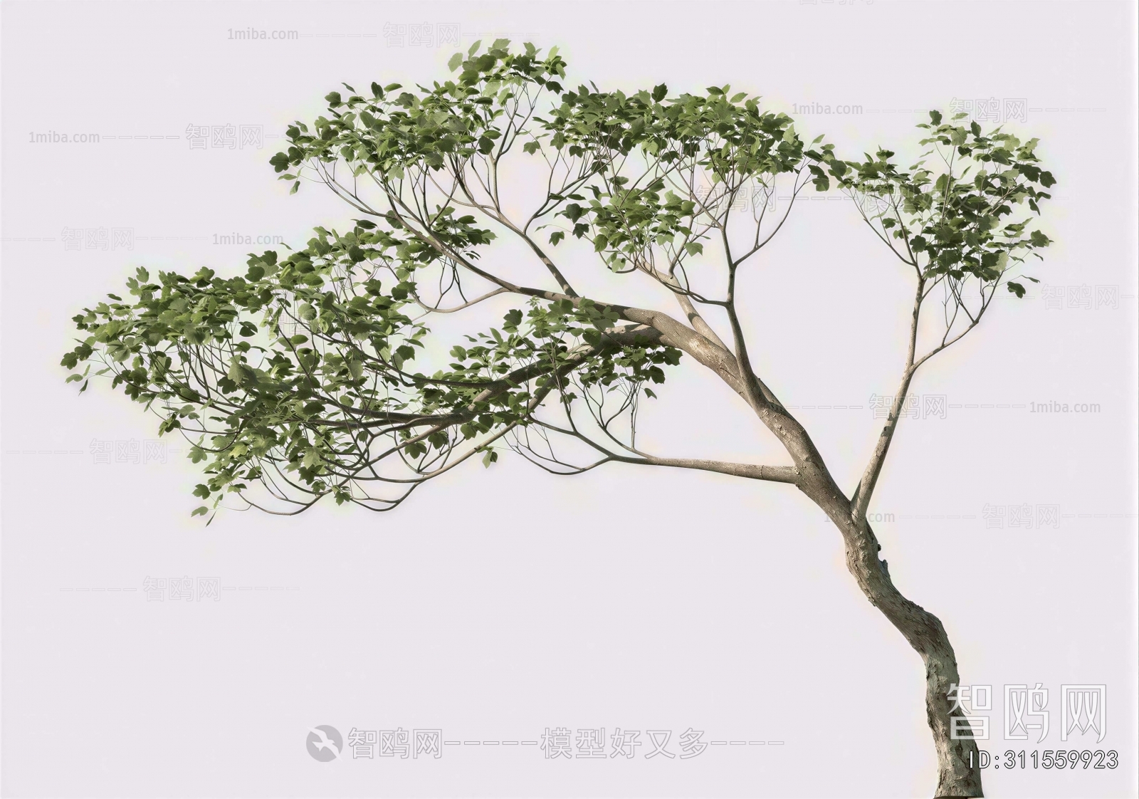 Modern Tree