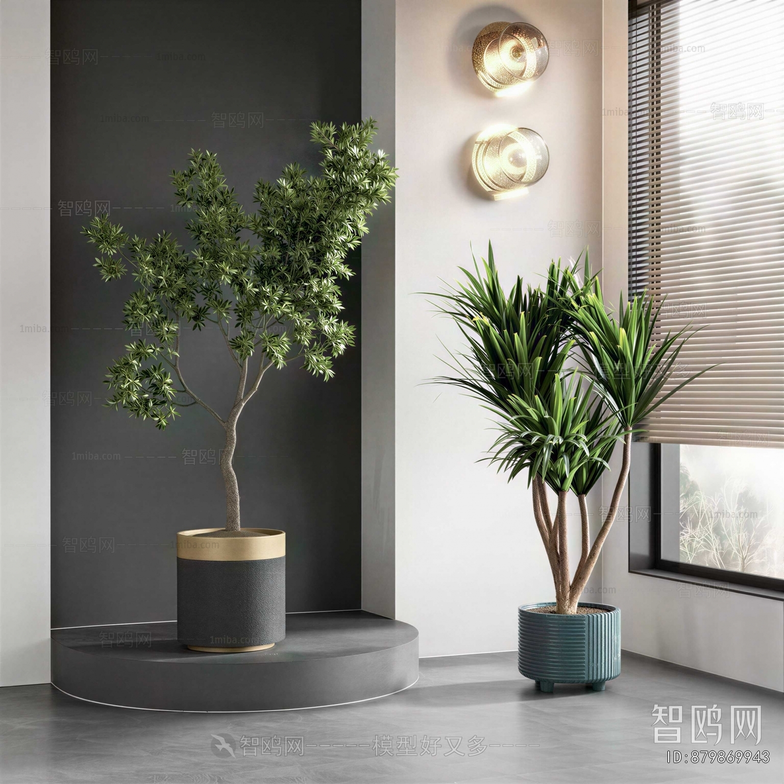 Modern Ground Green Plant Potted Plants