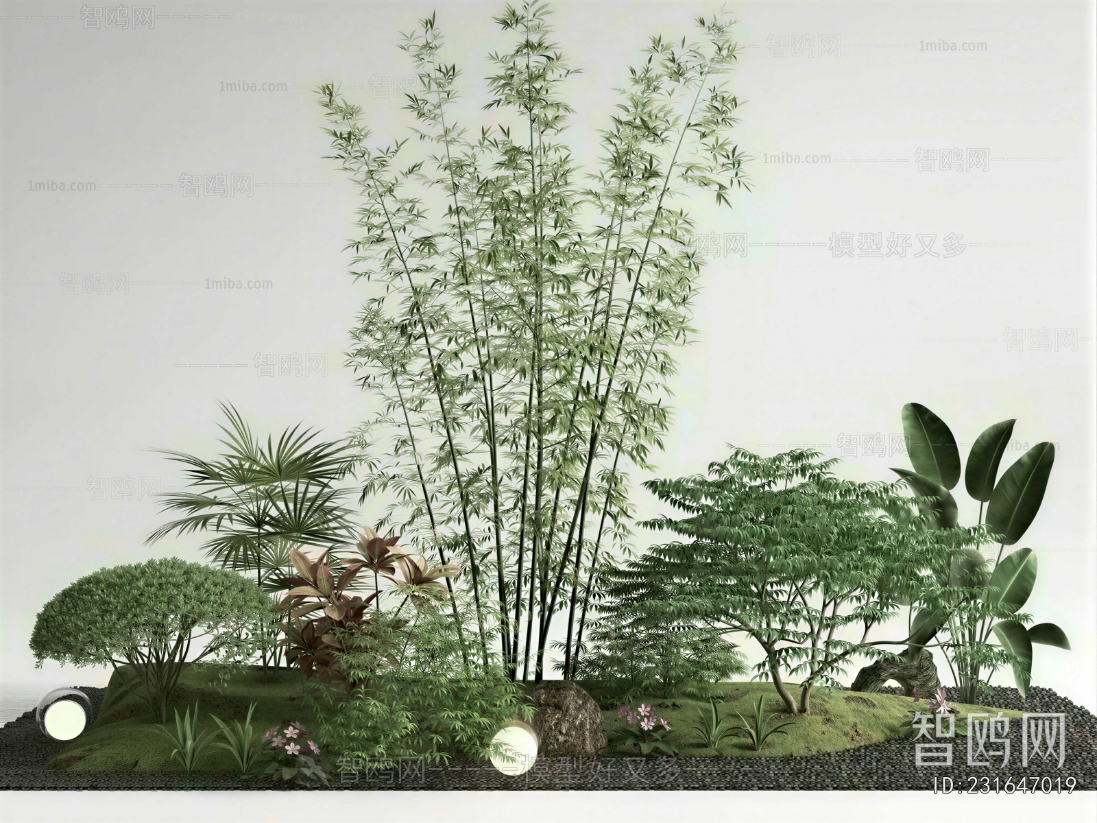 Modern Plant Landscaping