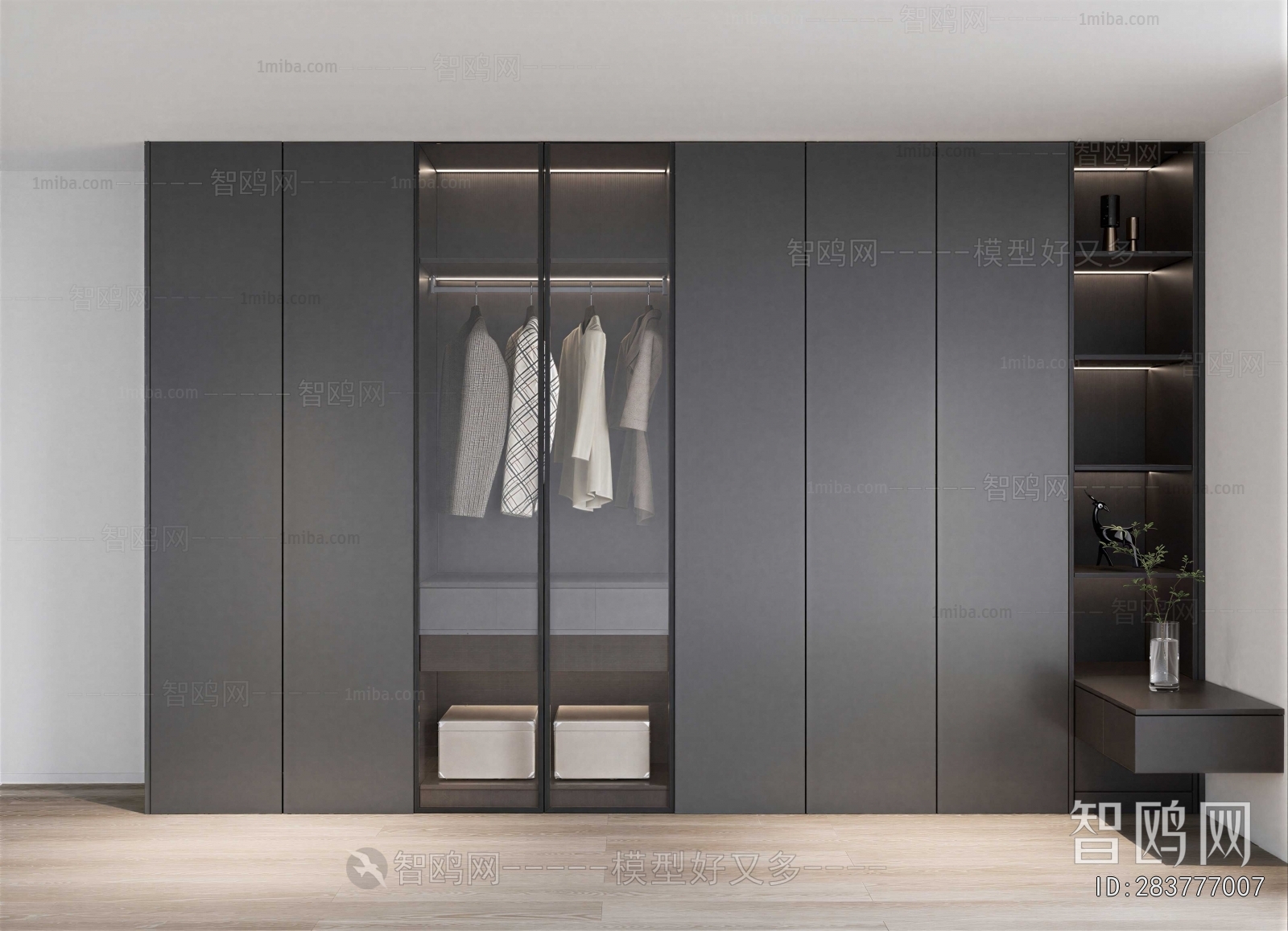 Modern Clothes Storage Area