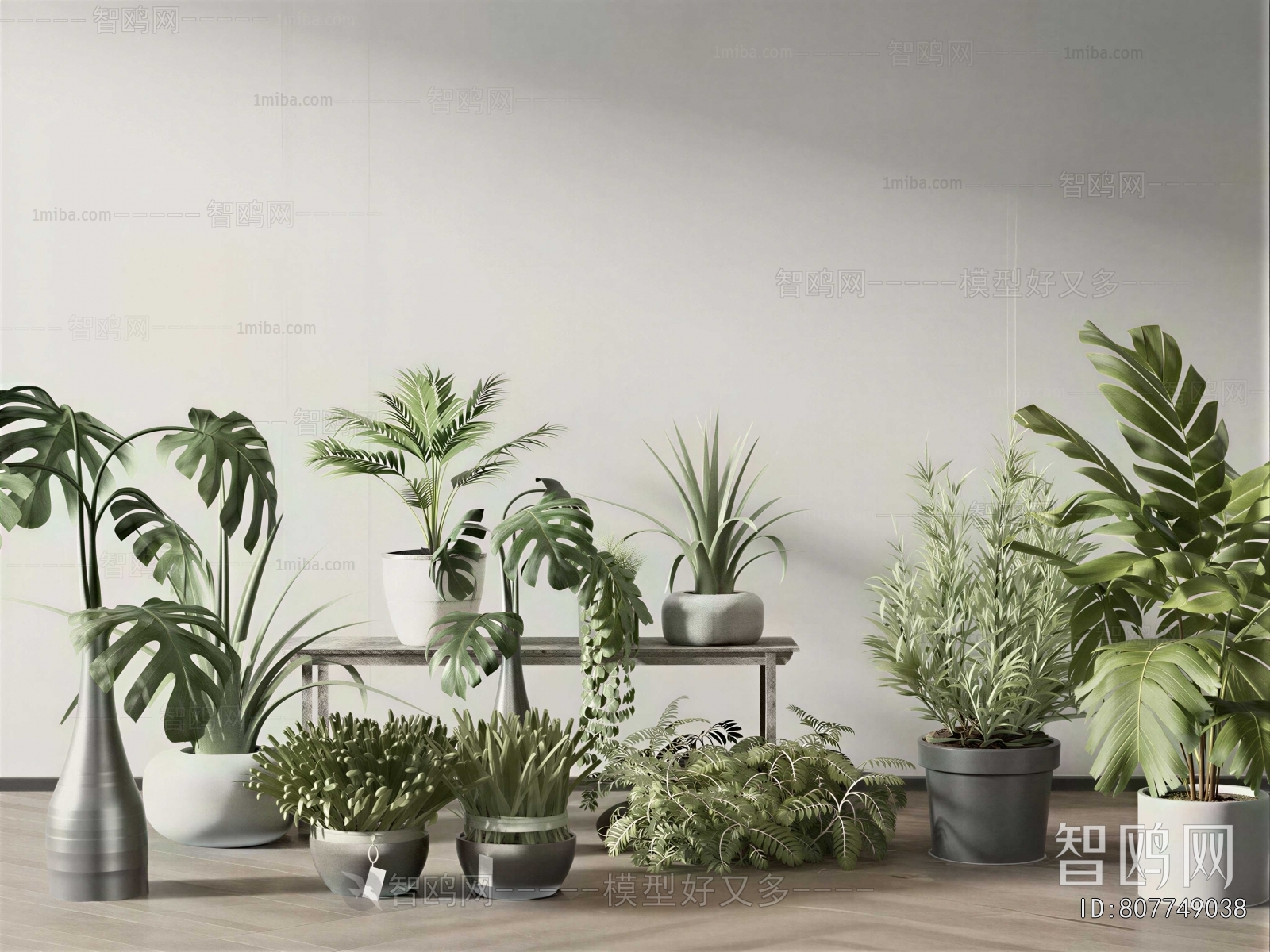 Modern Ground Green Plant Potted Plants