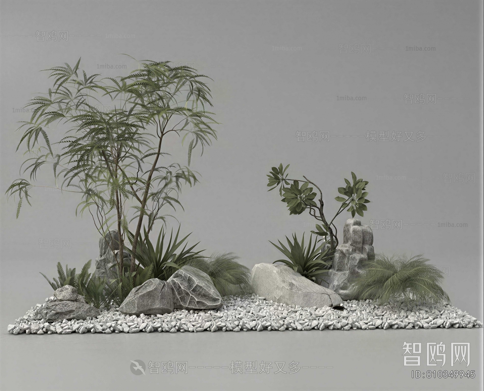 Modern Plant Landscaping