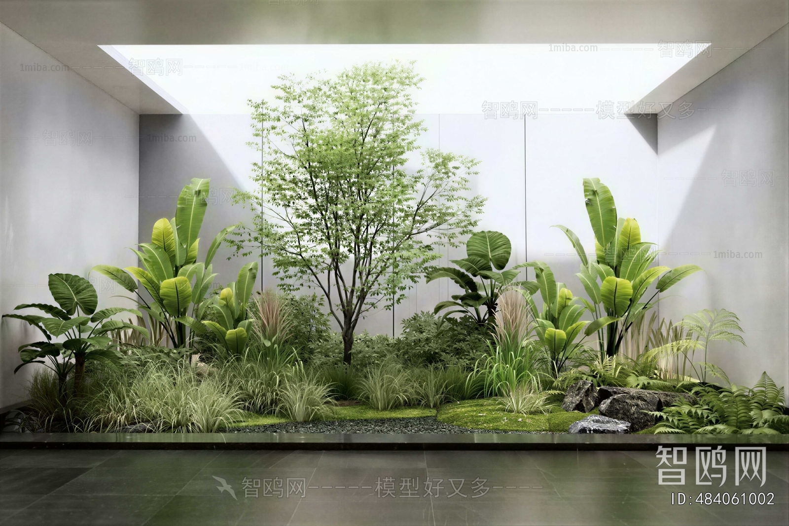Modern Plant Landscaping