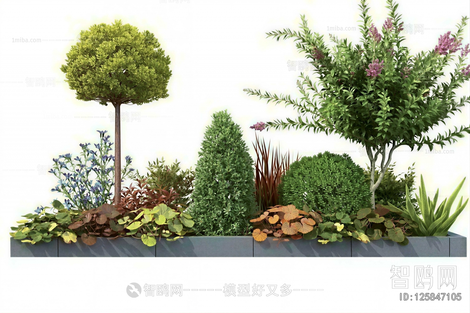 Modern Flower Bed, Flower Bowl, Flower Box