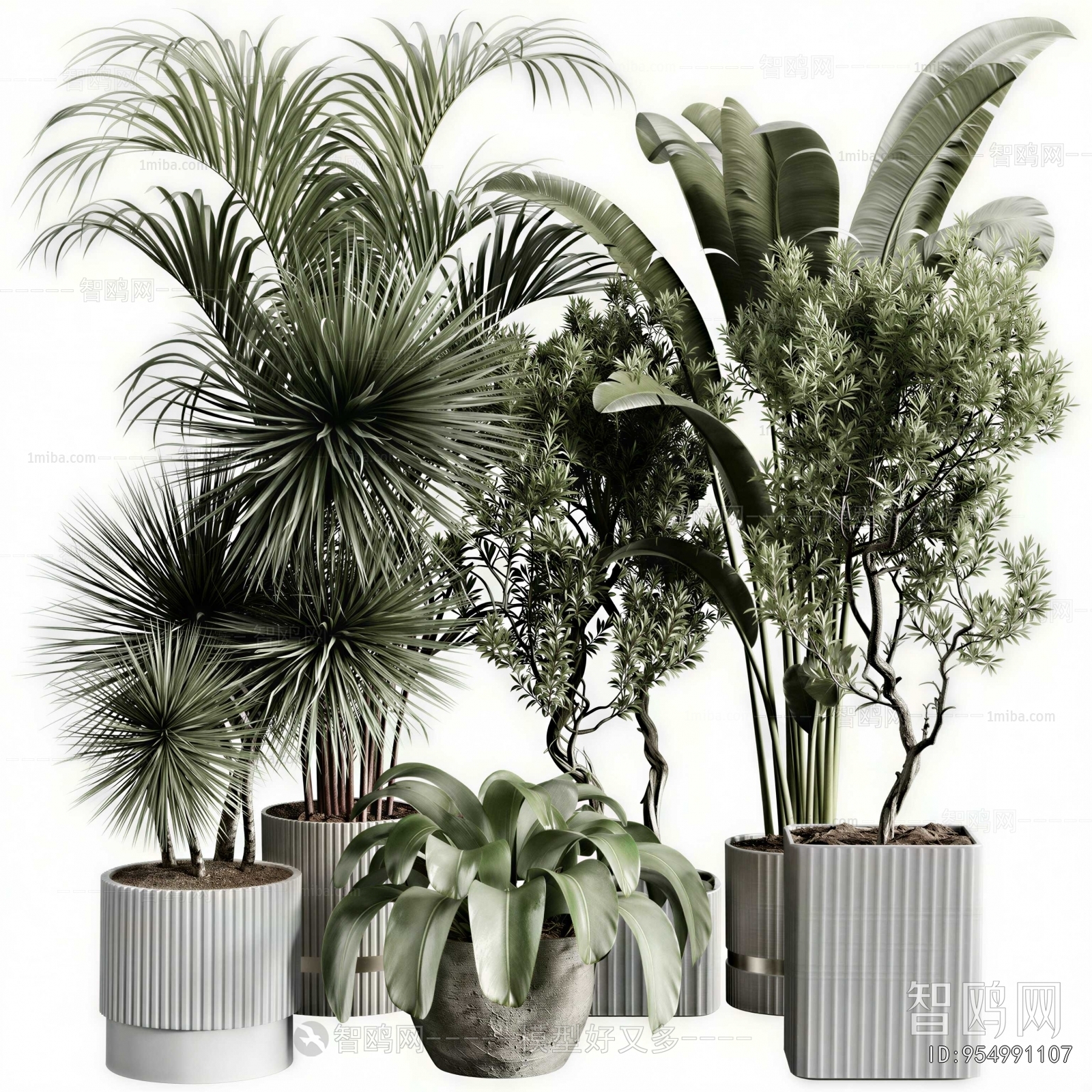 Modern Ground Green Plant Potted Plants