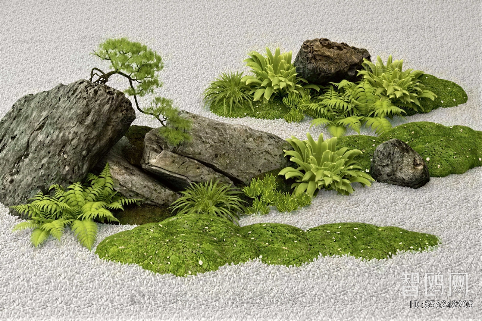 Japanese Style Plant Landscaping