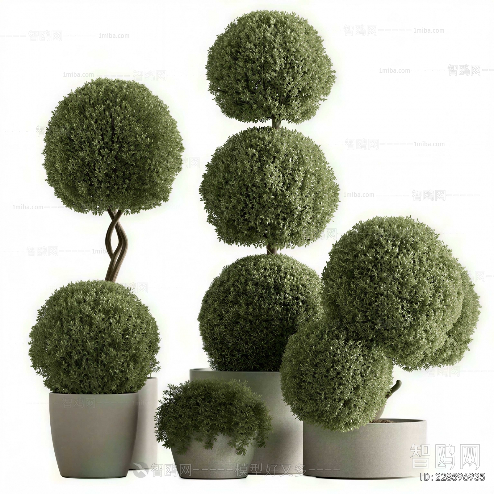 Modern Ground Green Plant Potted Plants