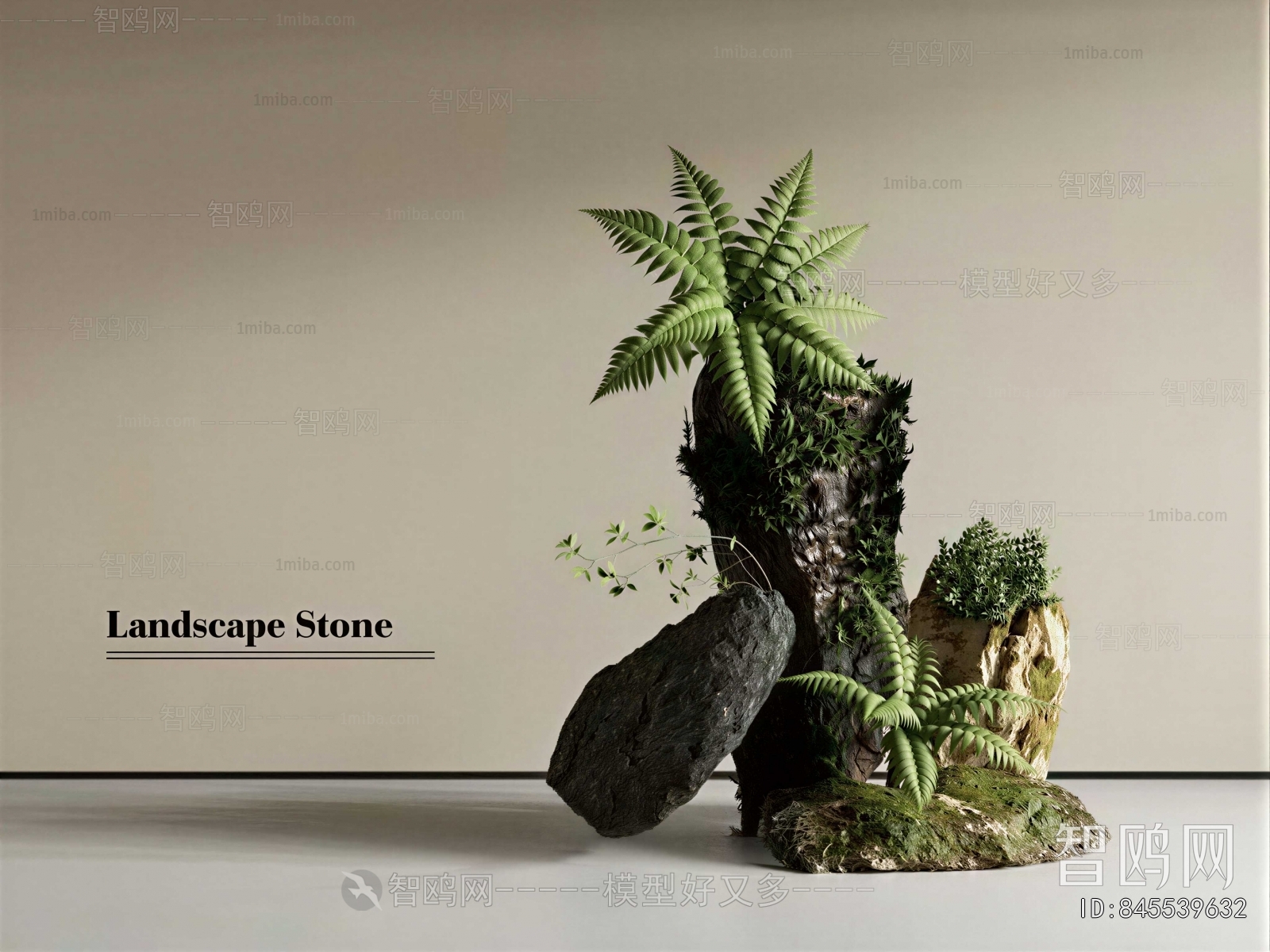 Modern Plant Landscaping