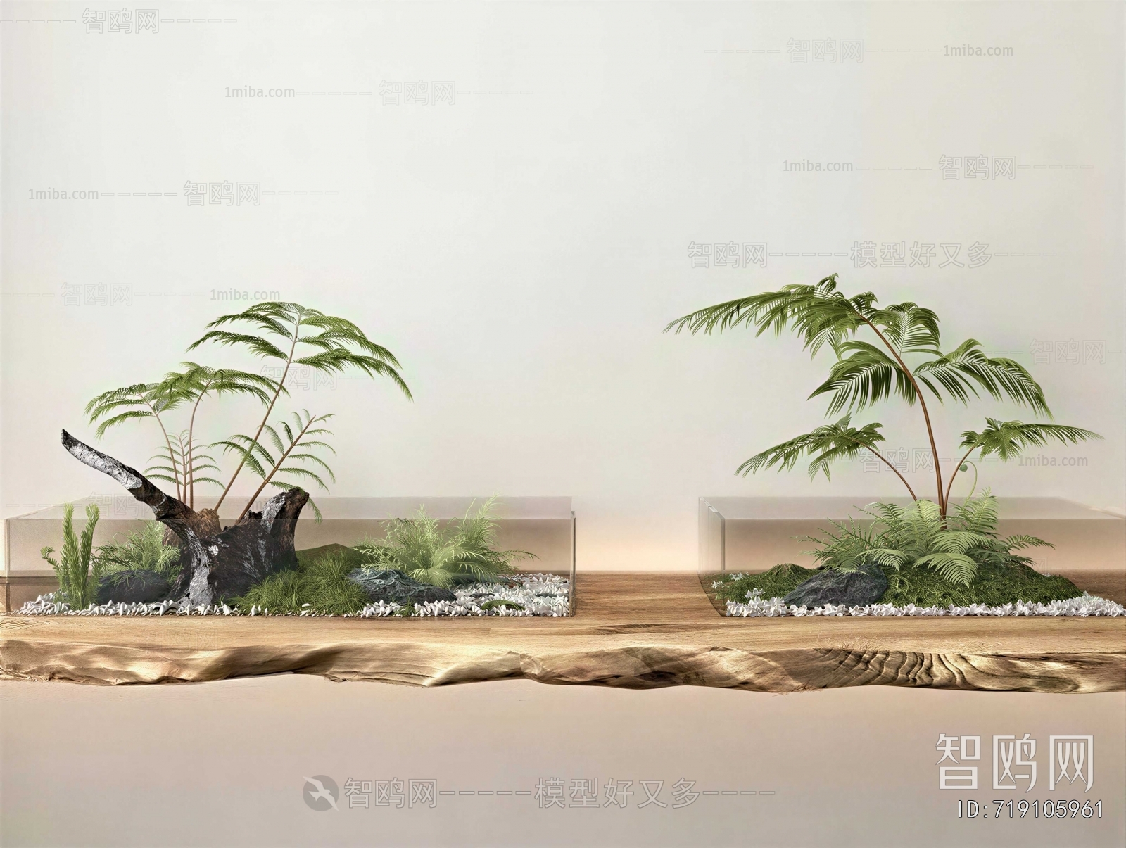 Modern Plant Landscaping