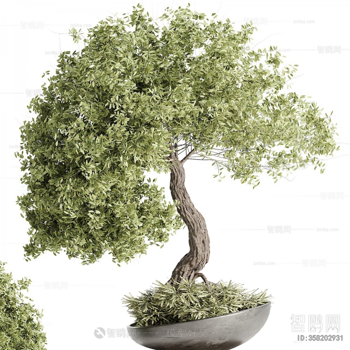 New Chinese Style Bonsai
