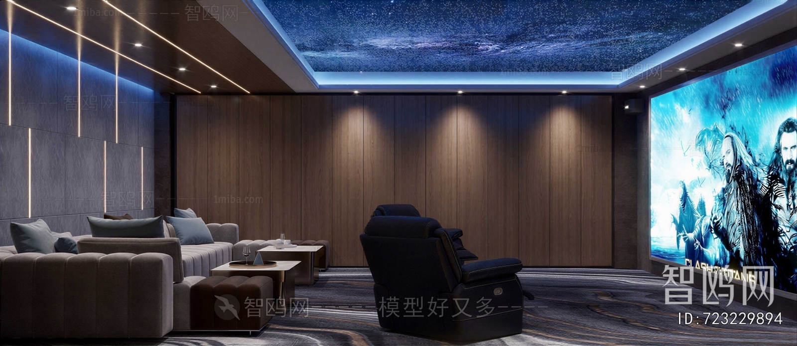 Modern Audiovisual Room