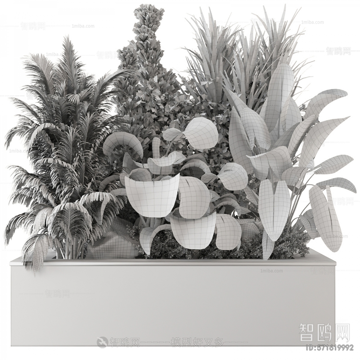 Modern Flower Bed, Flower Bowl, Flower Box