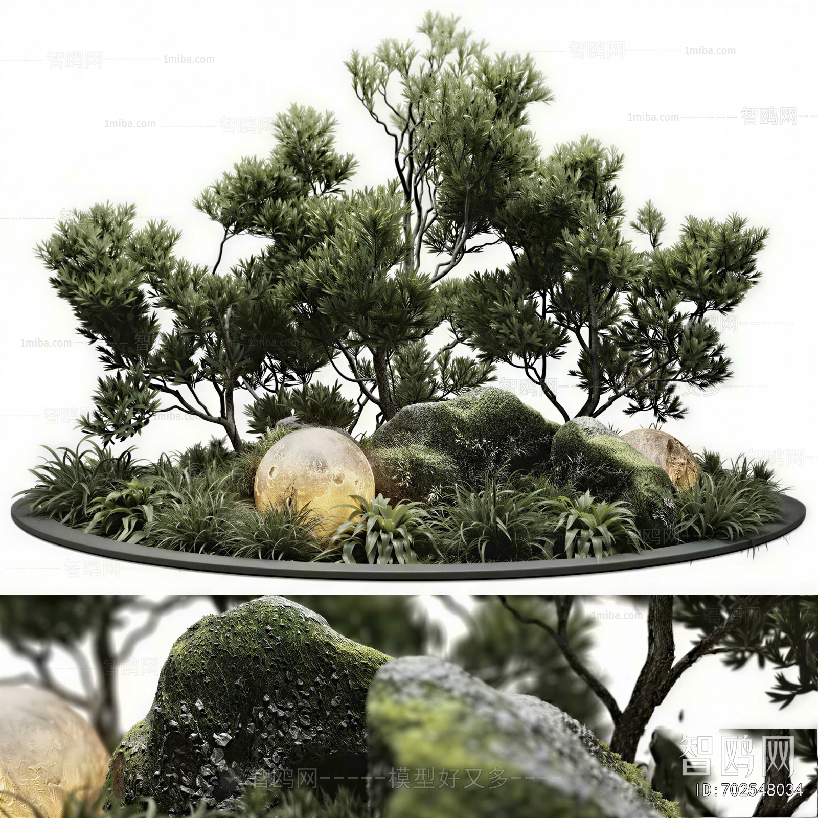 Modern Plant Landscaping