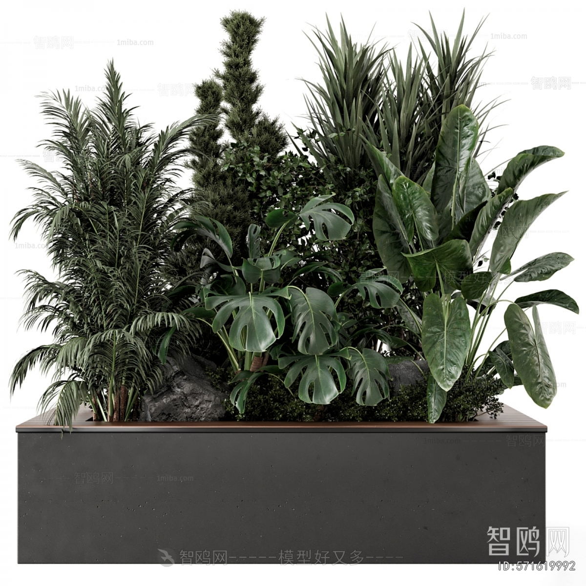 Modern Flower Bed, Flower Bowl, Flower Box