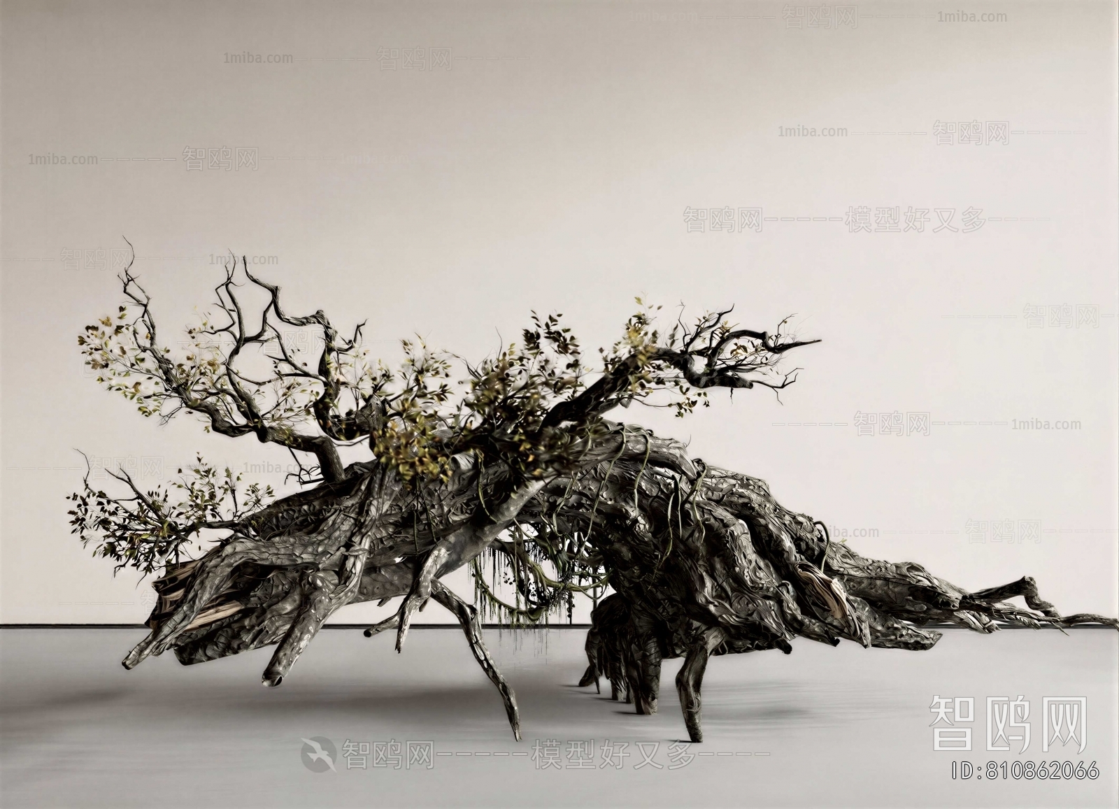 Modern Plant Landscaping