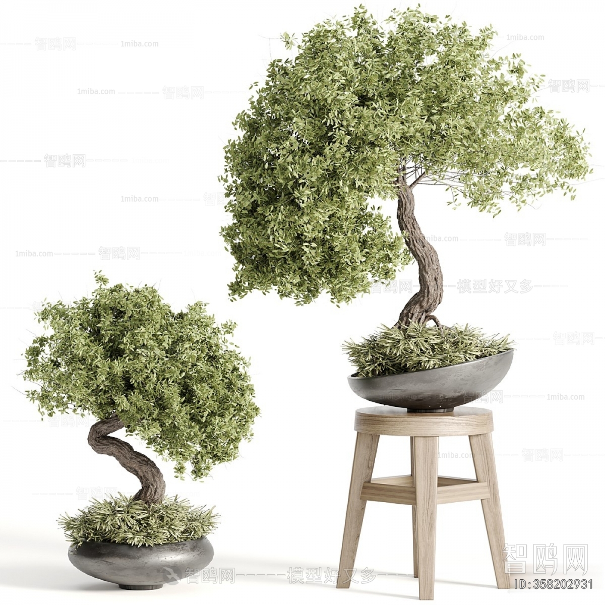 New Chinese Style Bonsai