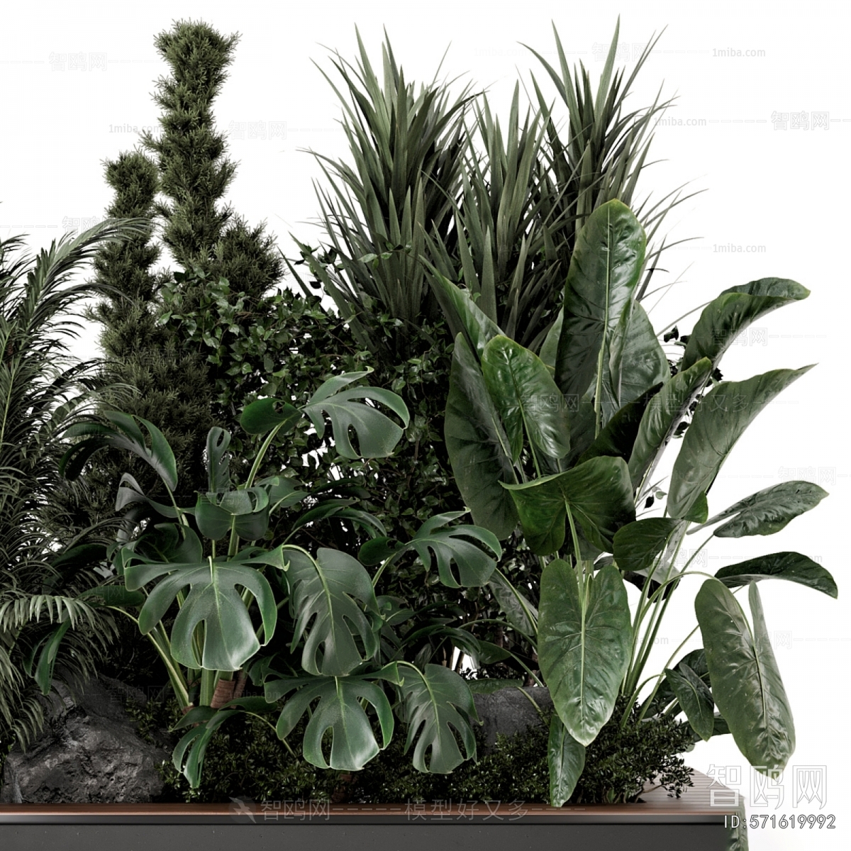 Modern Flower Bed, Flower Bowl, Flower Box