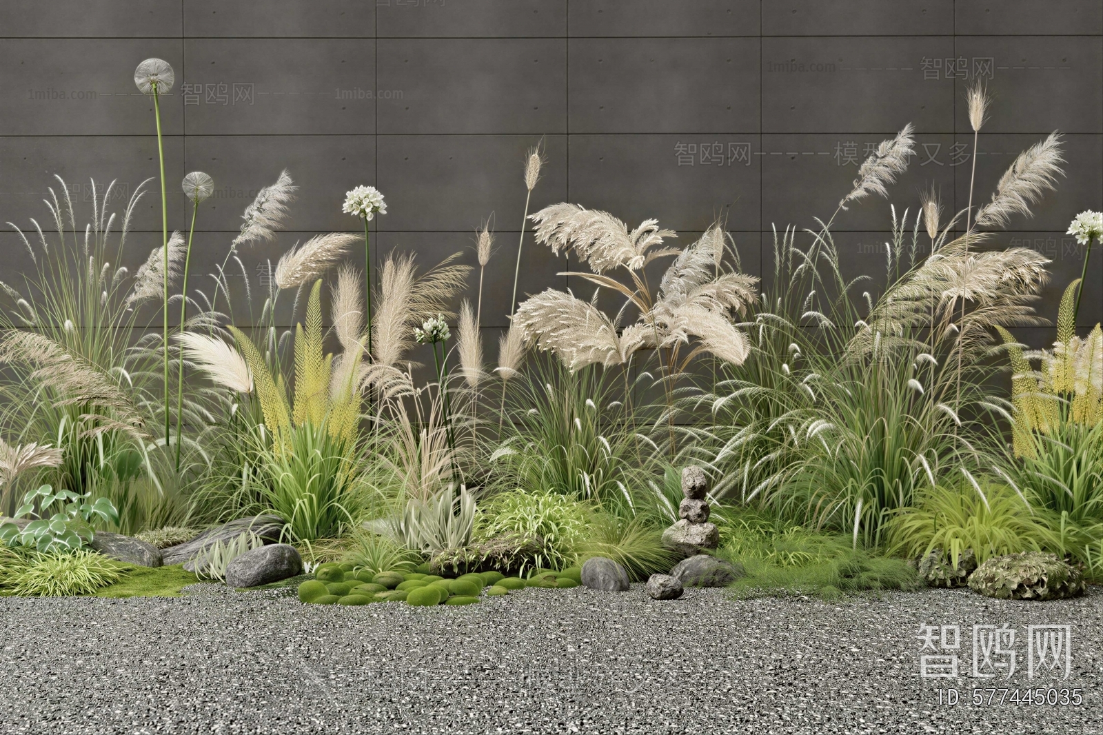 Modern Plant Landscaping