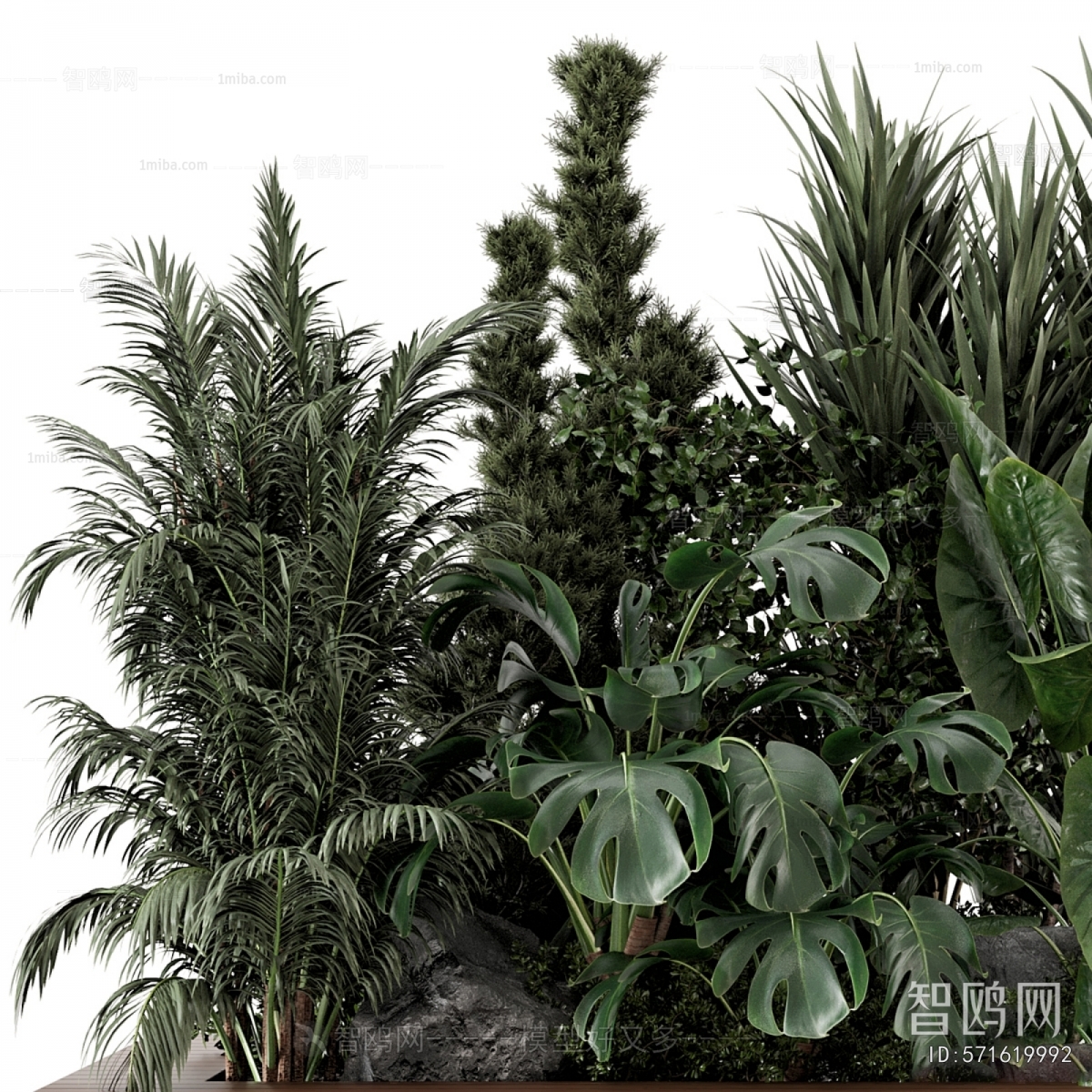 Modern Flower Bed, Flower Bowl, Flower Box