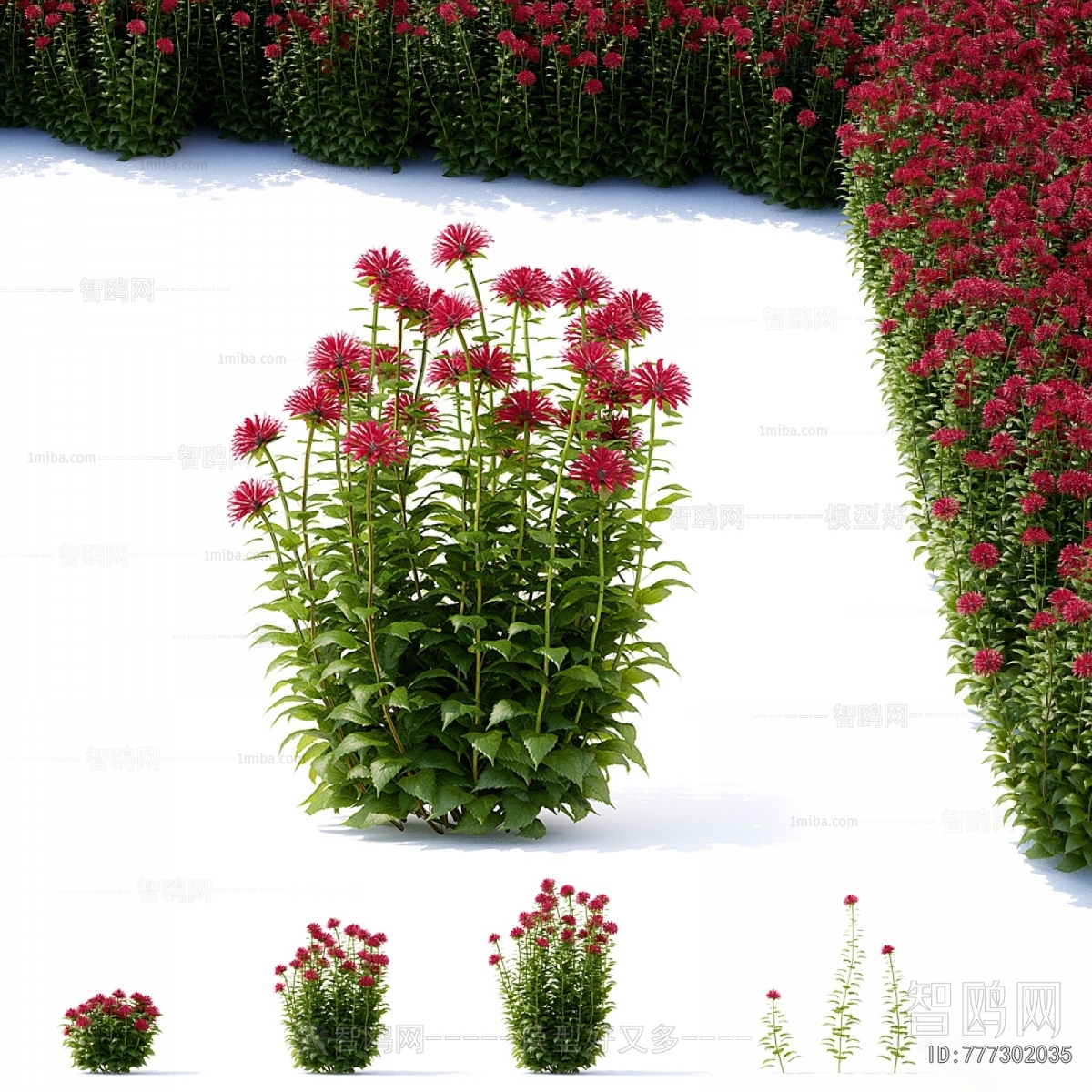 Modern Flowers And Grass