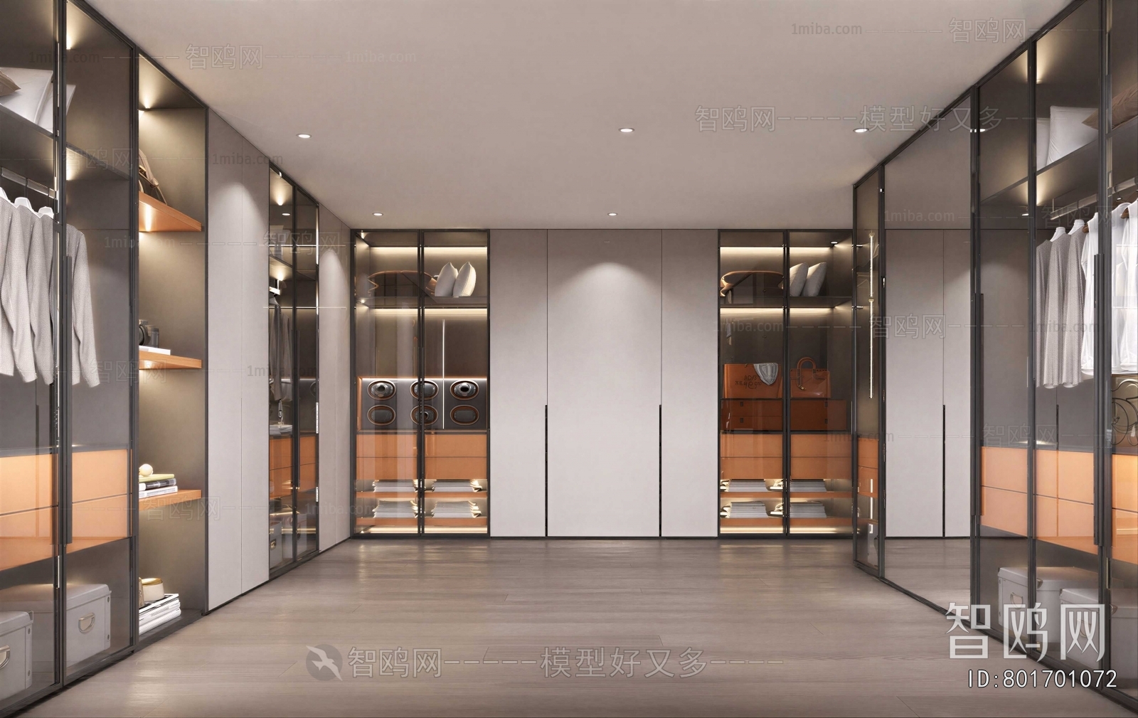 Modern Clothes Storage Area