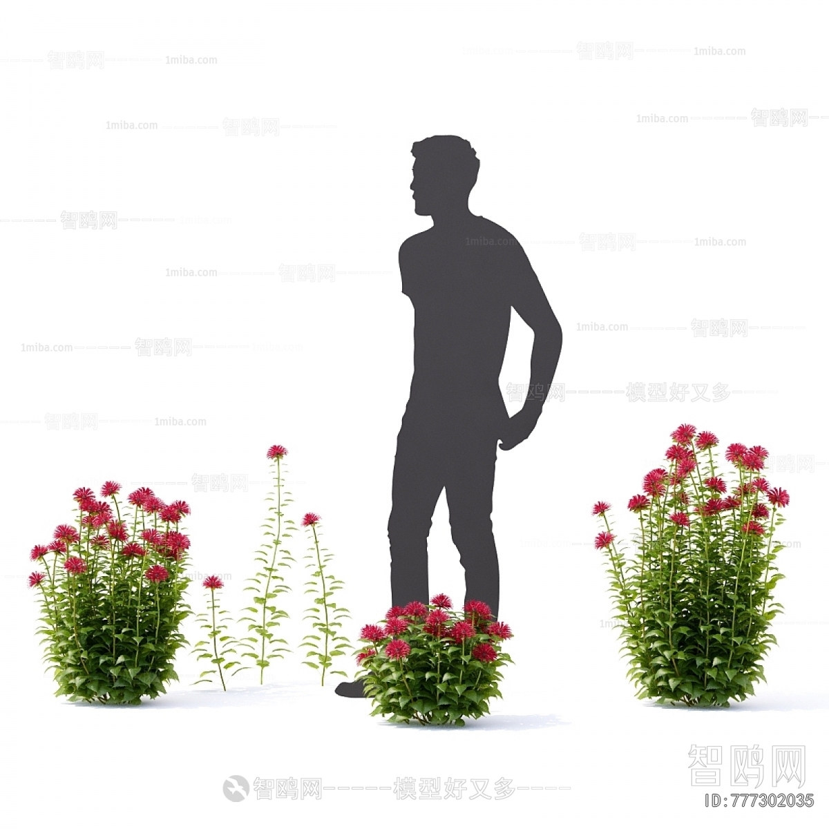 Modern Flowers And Grass