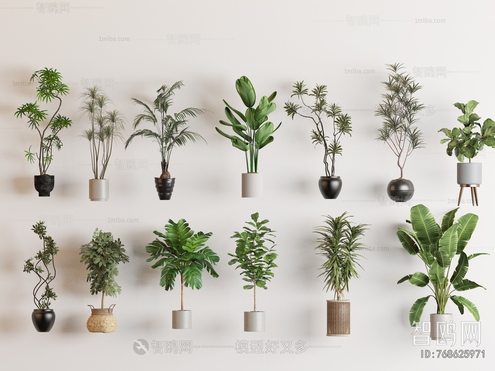 Modern Ground Green Plant Potted Plants