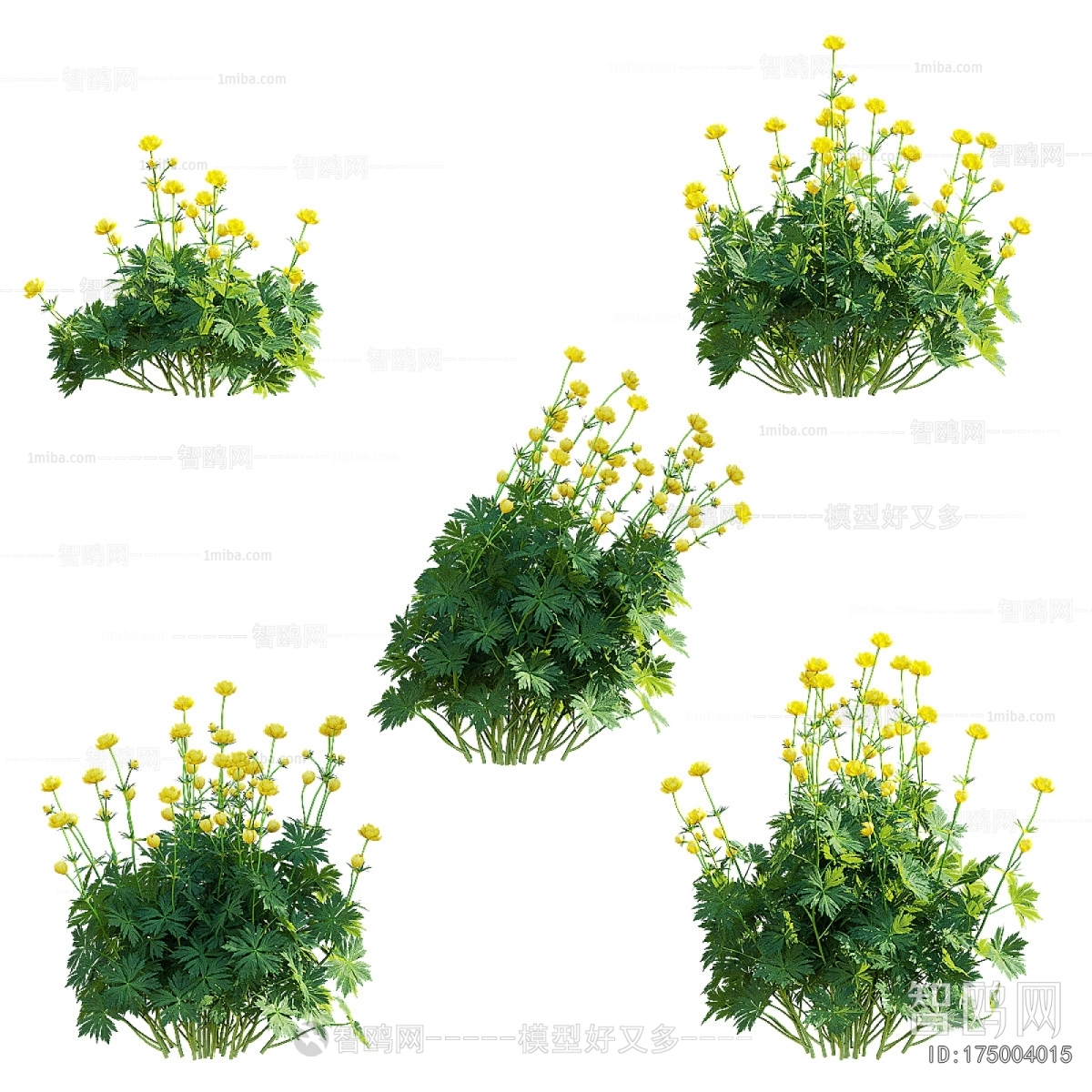 Modern Flowers And Grass