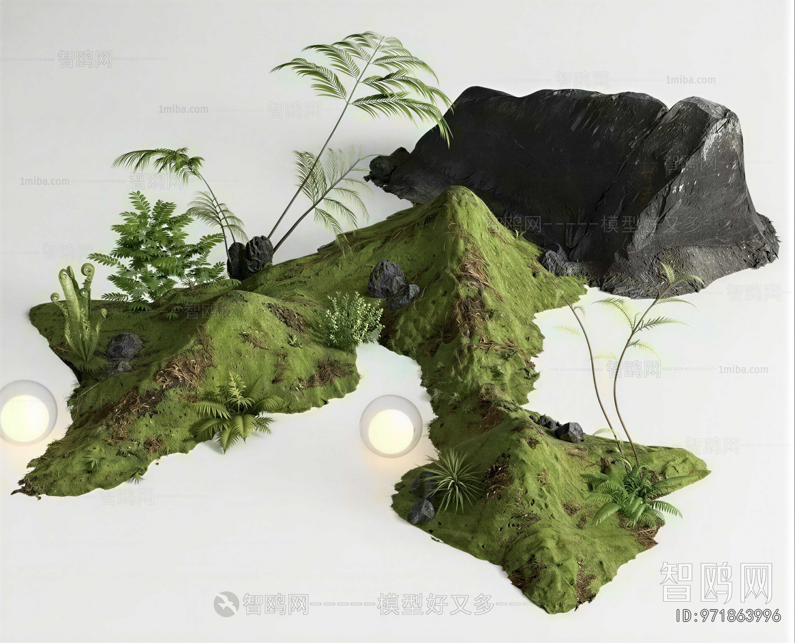 Modern Plant Landscaping