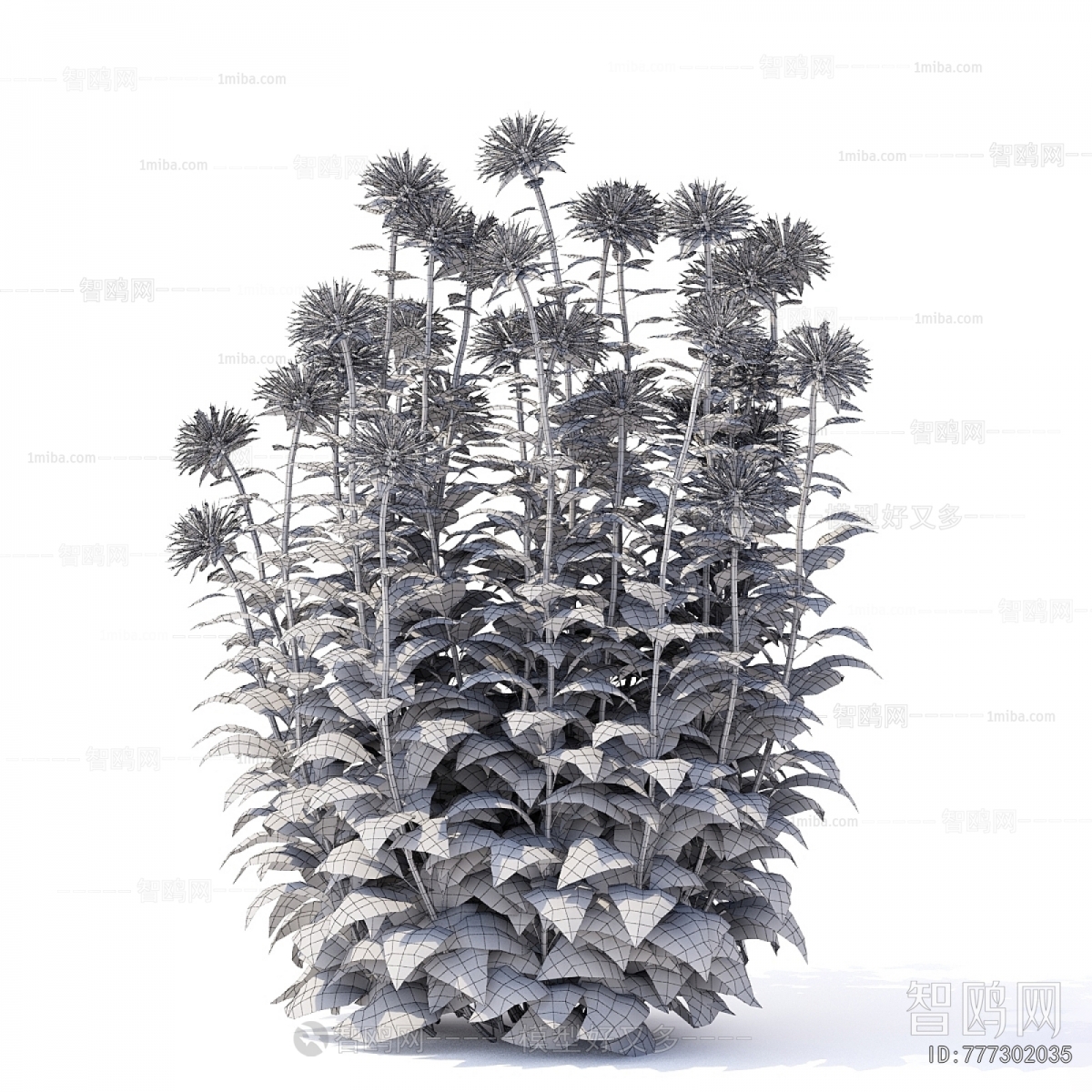 Modern Flowers And Grass