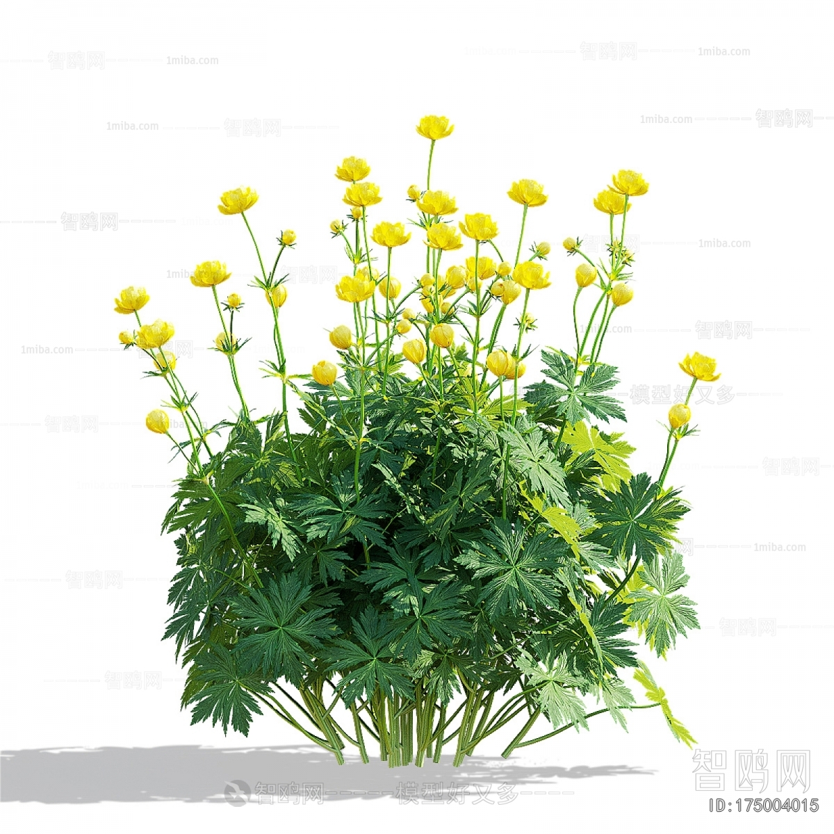 Modern Flowers And Grass