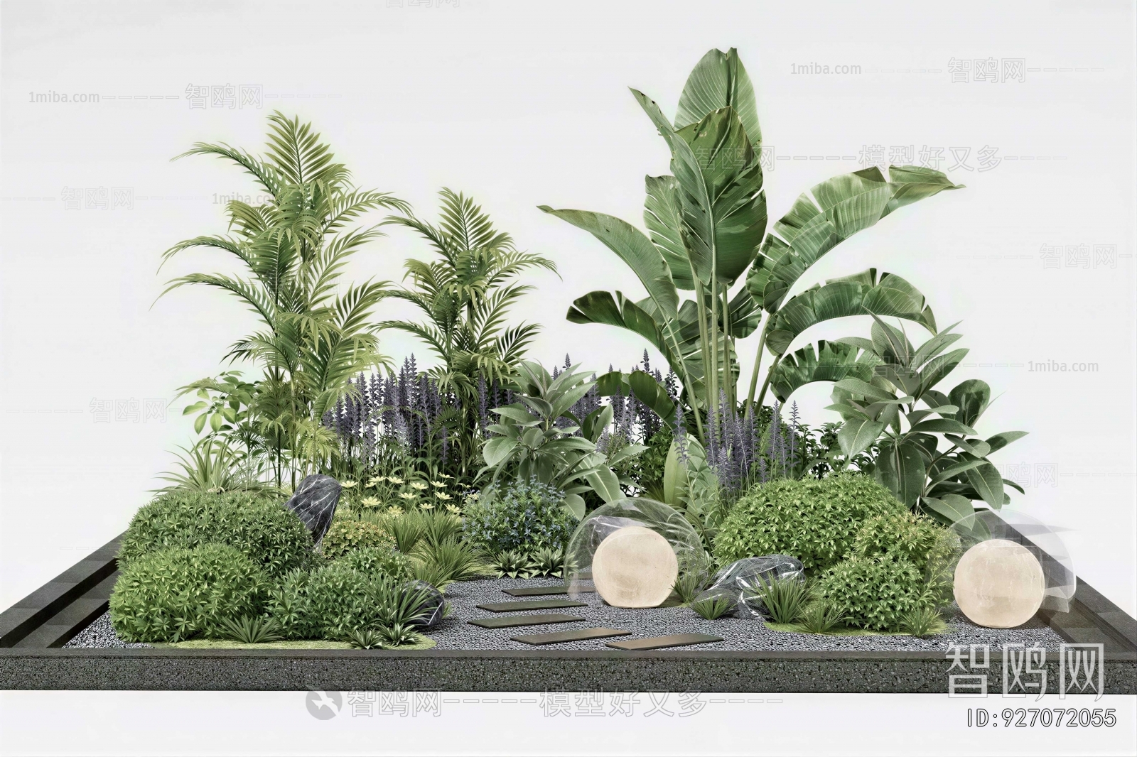 Modern Plant Landscaping