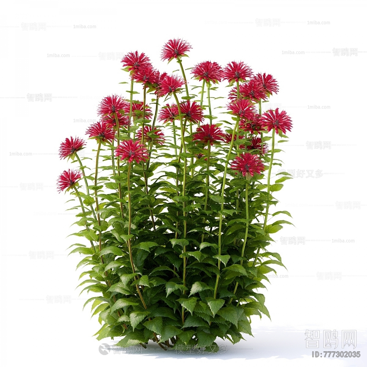 Modern Flowers And Grass