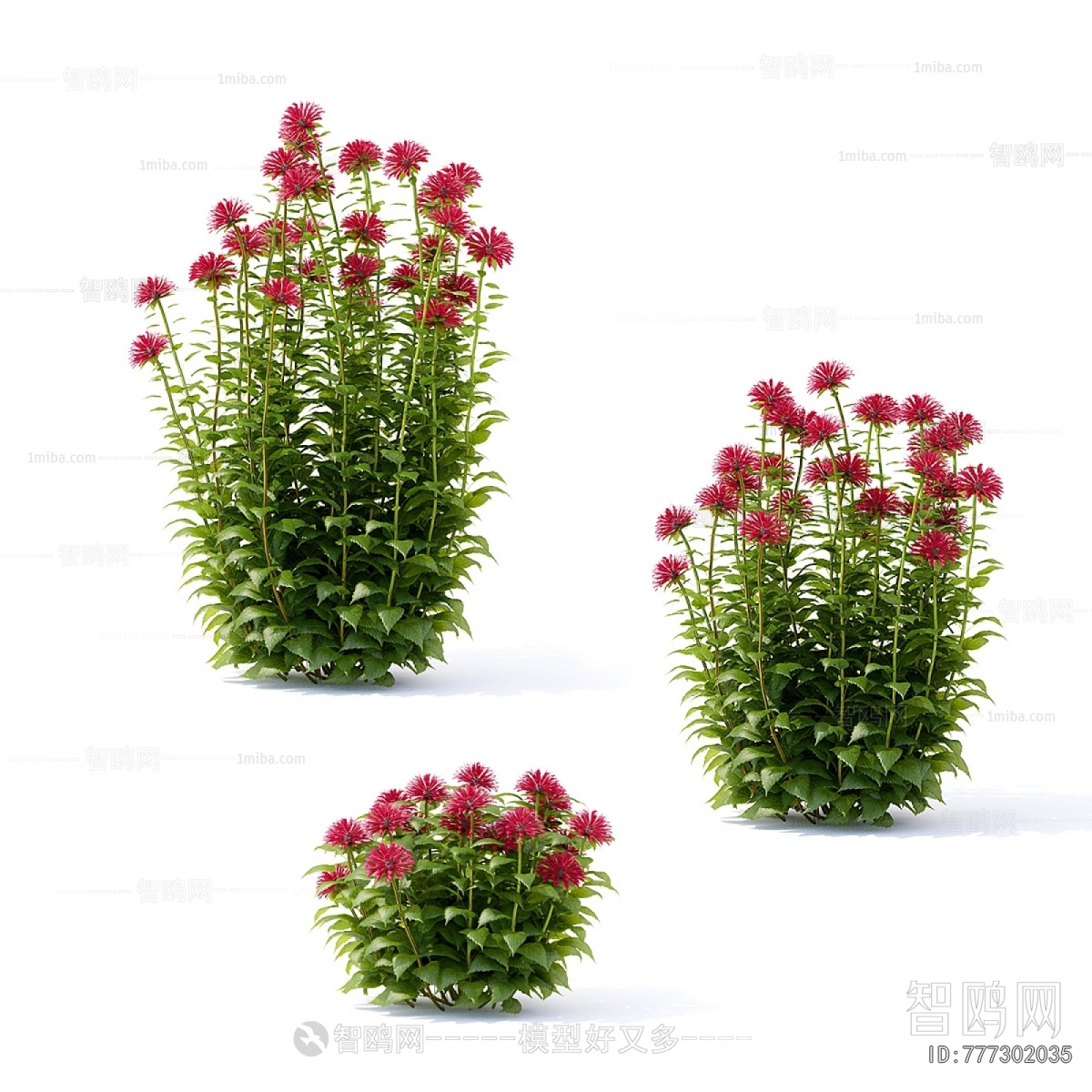 Modern Flowers And Grass
