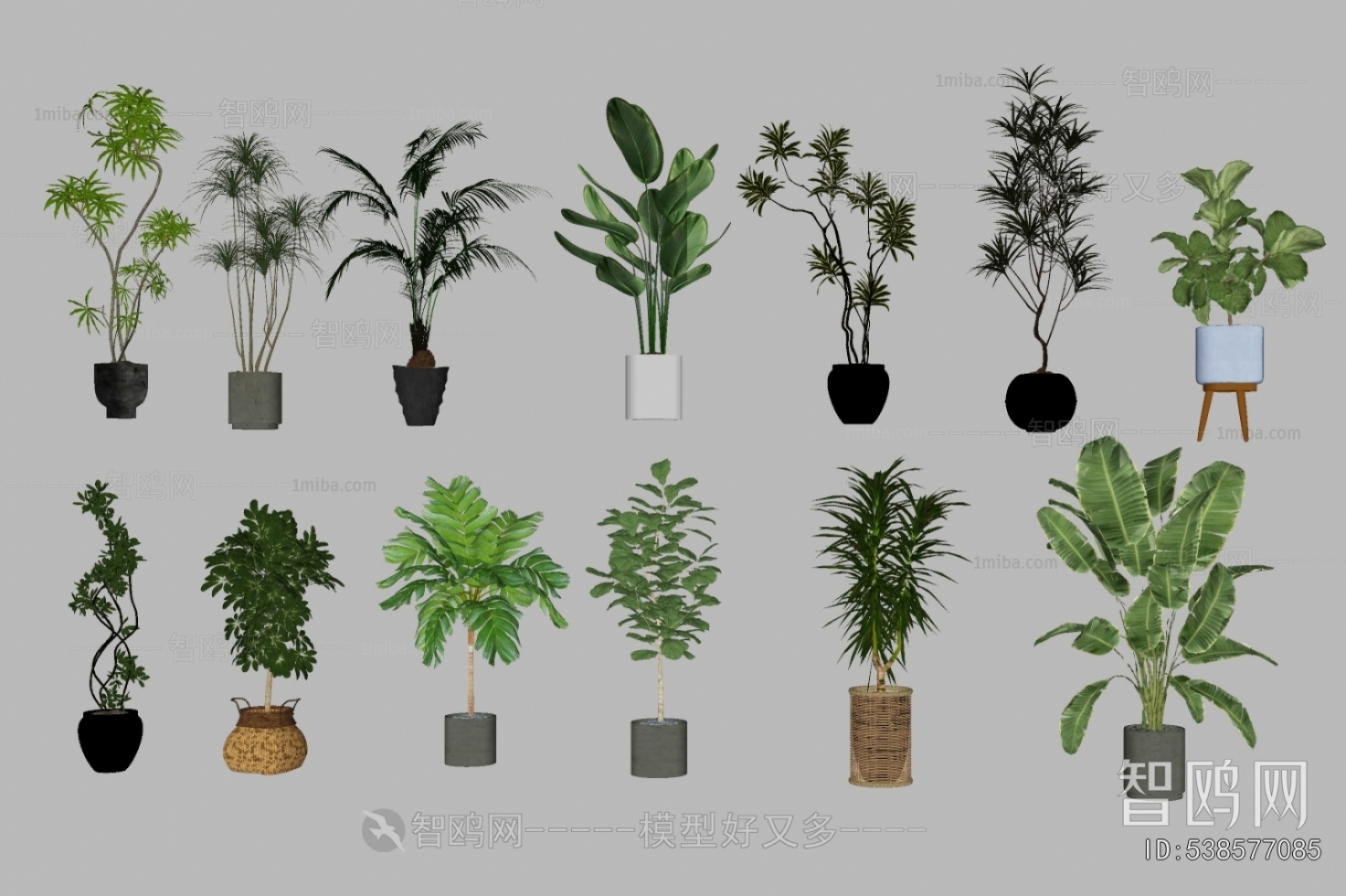 Modern Ground Green Plant Potted Plants