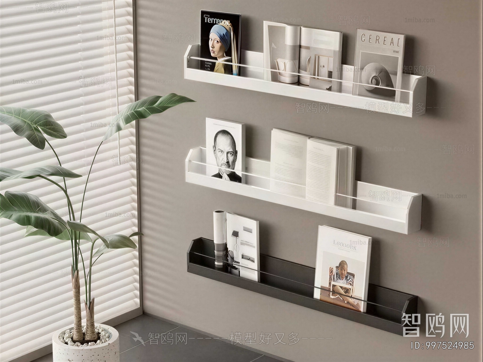 Modern Bookshelf