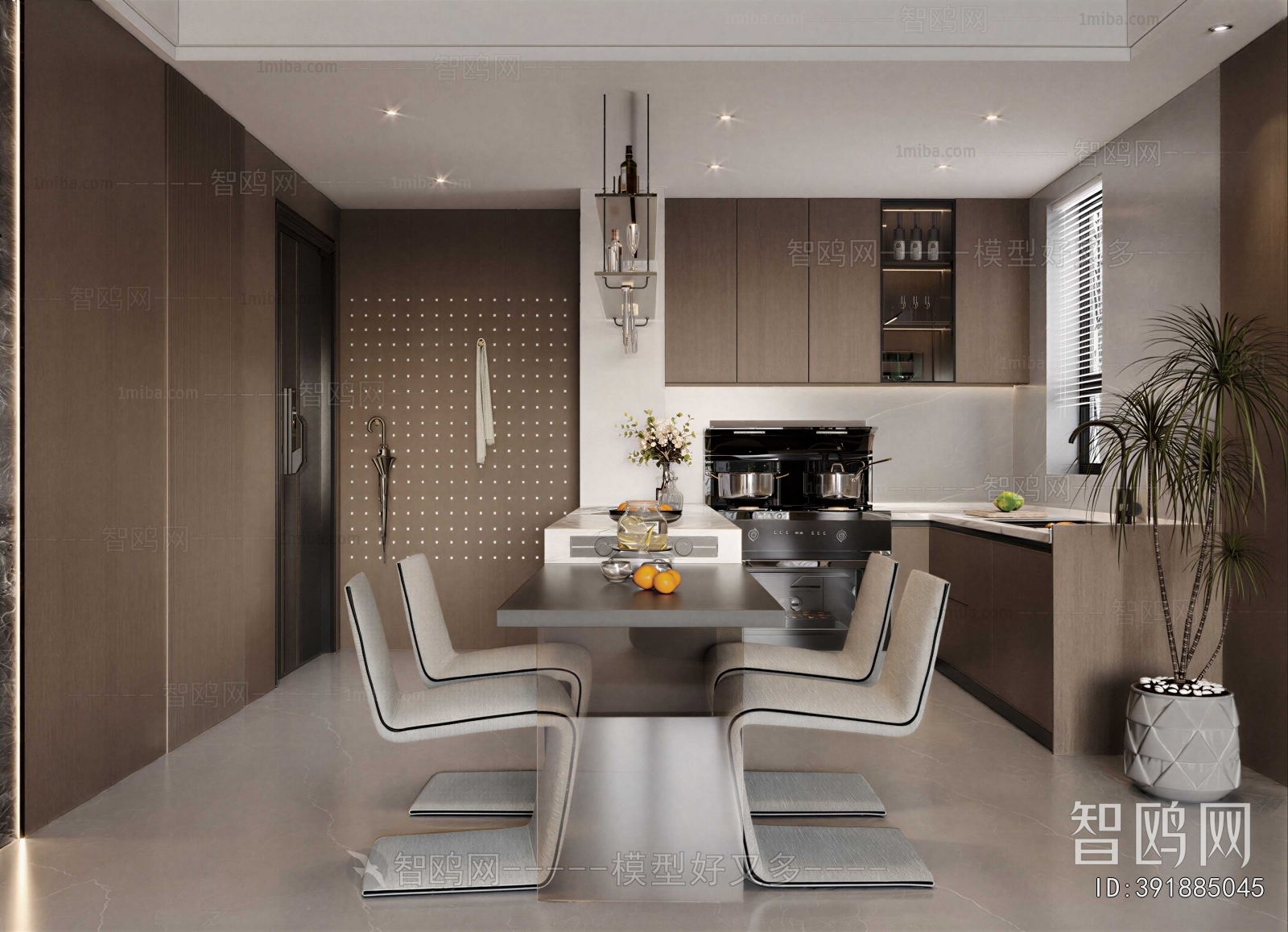 Modern Open Kitchen
