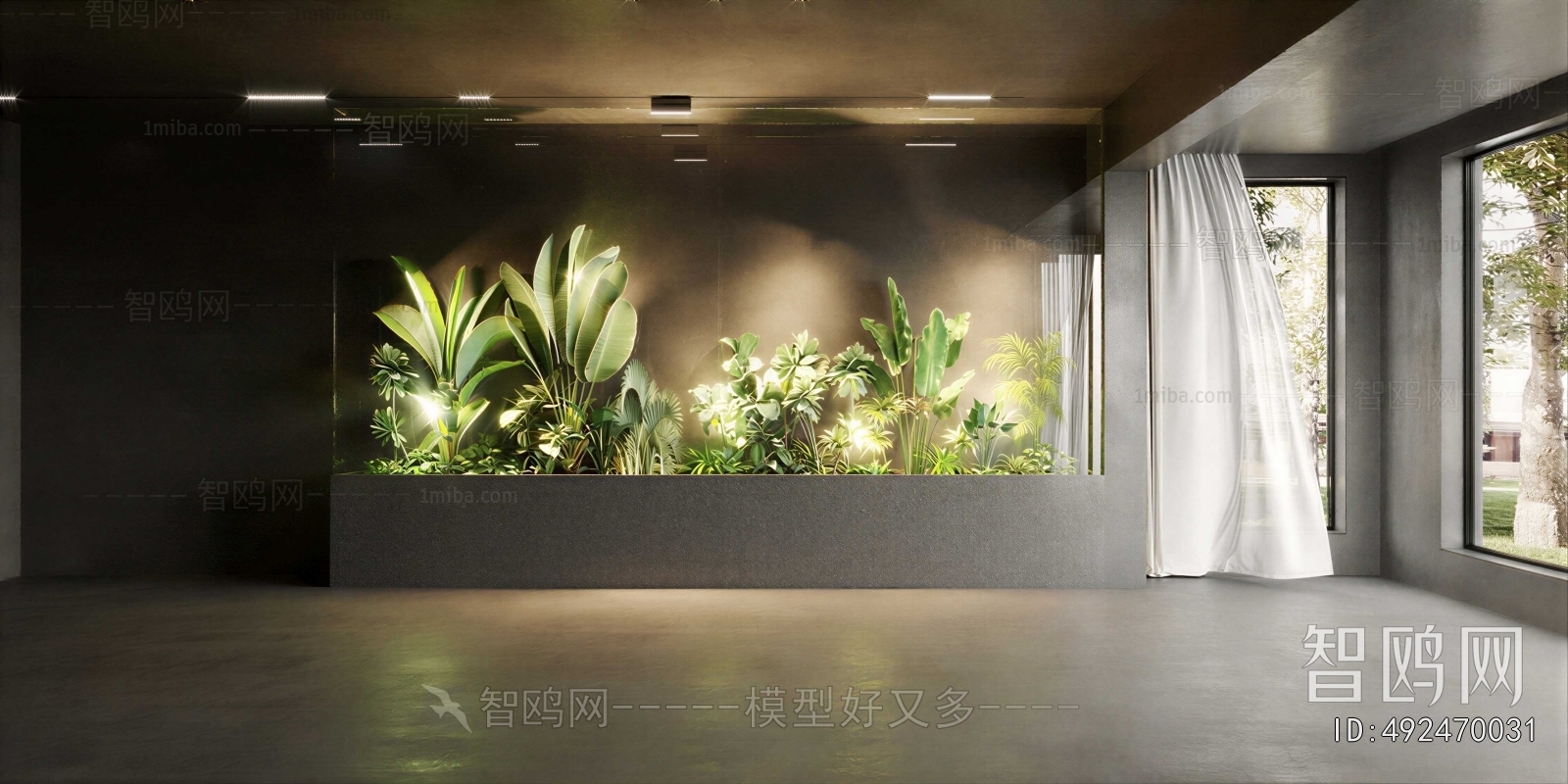 Modern Plant Landscaping