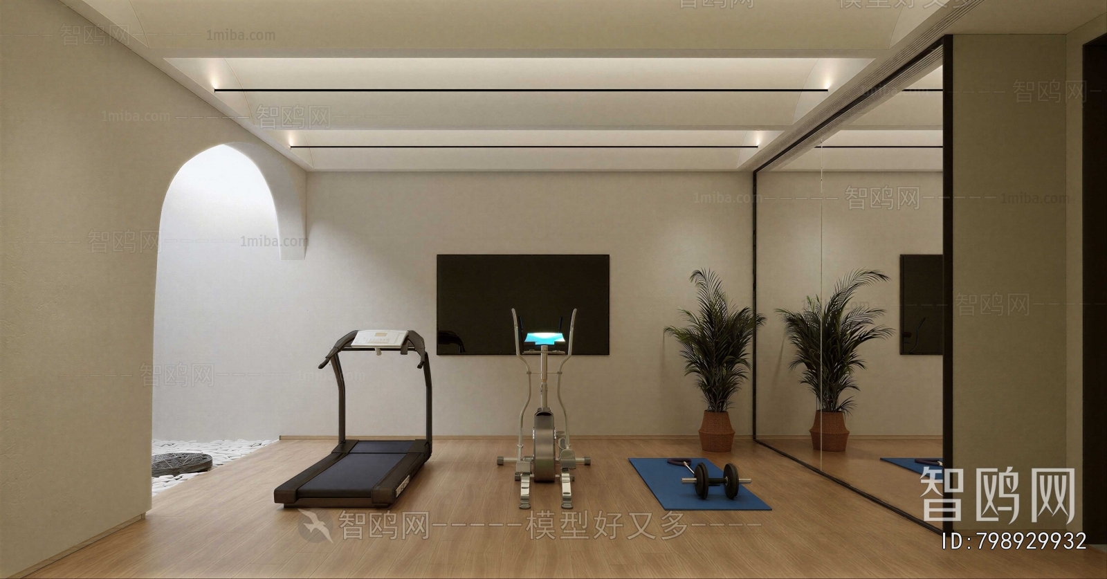 Modern Home Fitness Room