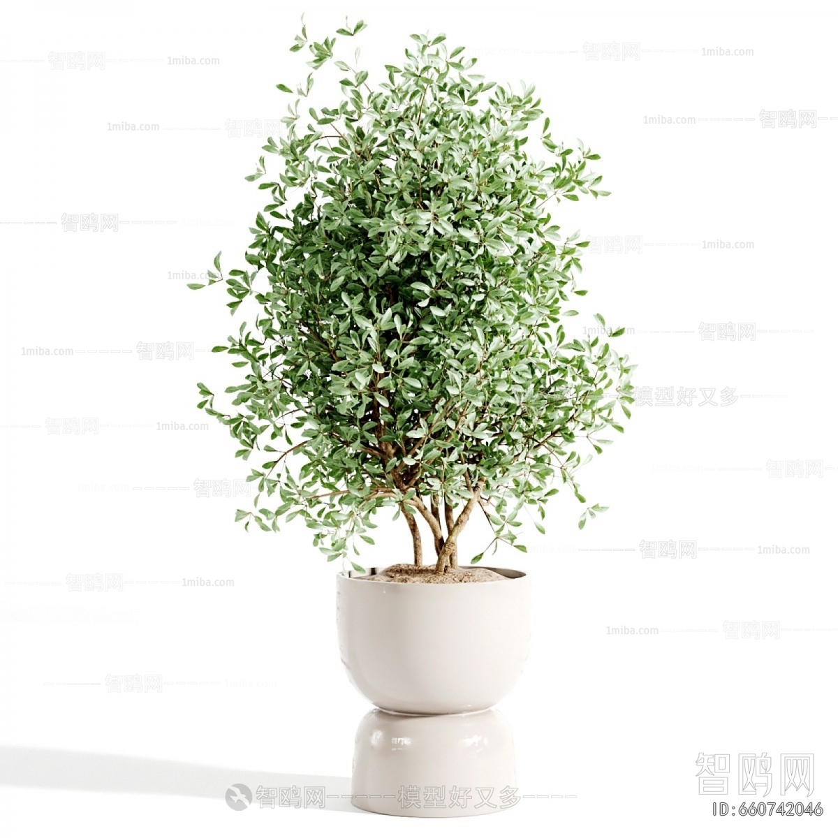 Modern Ground Green Plant Potted Plants