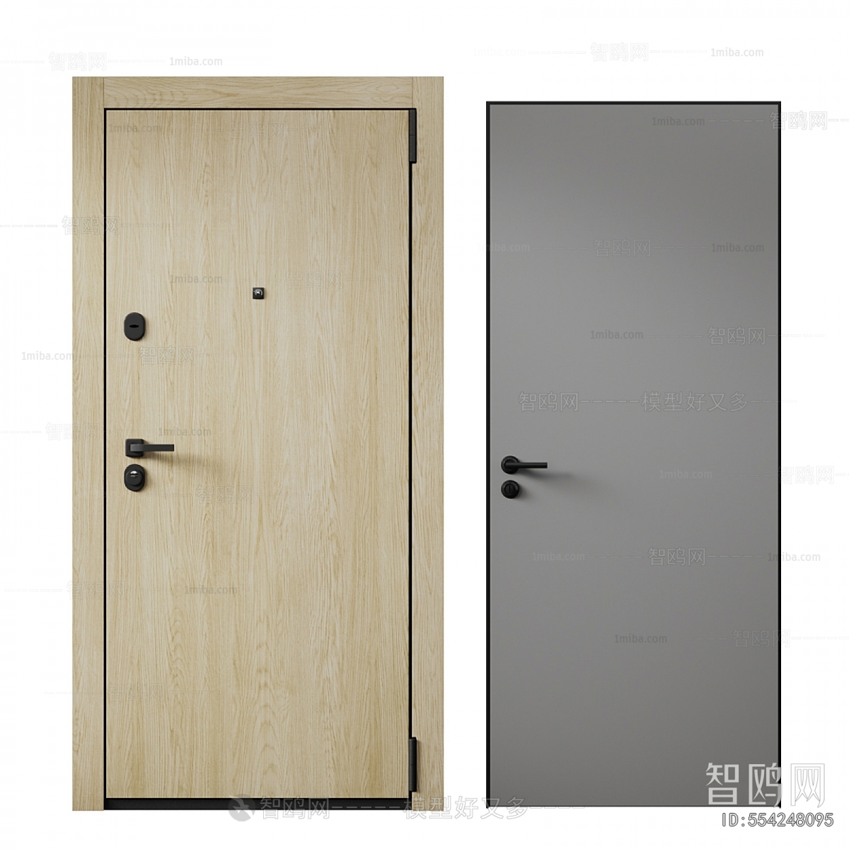 Modern Entrance Door