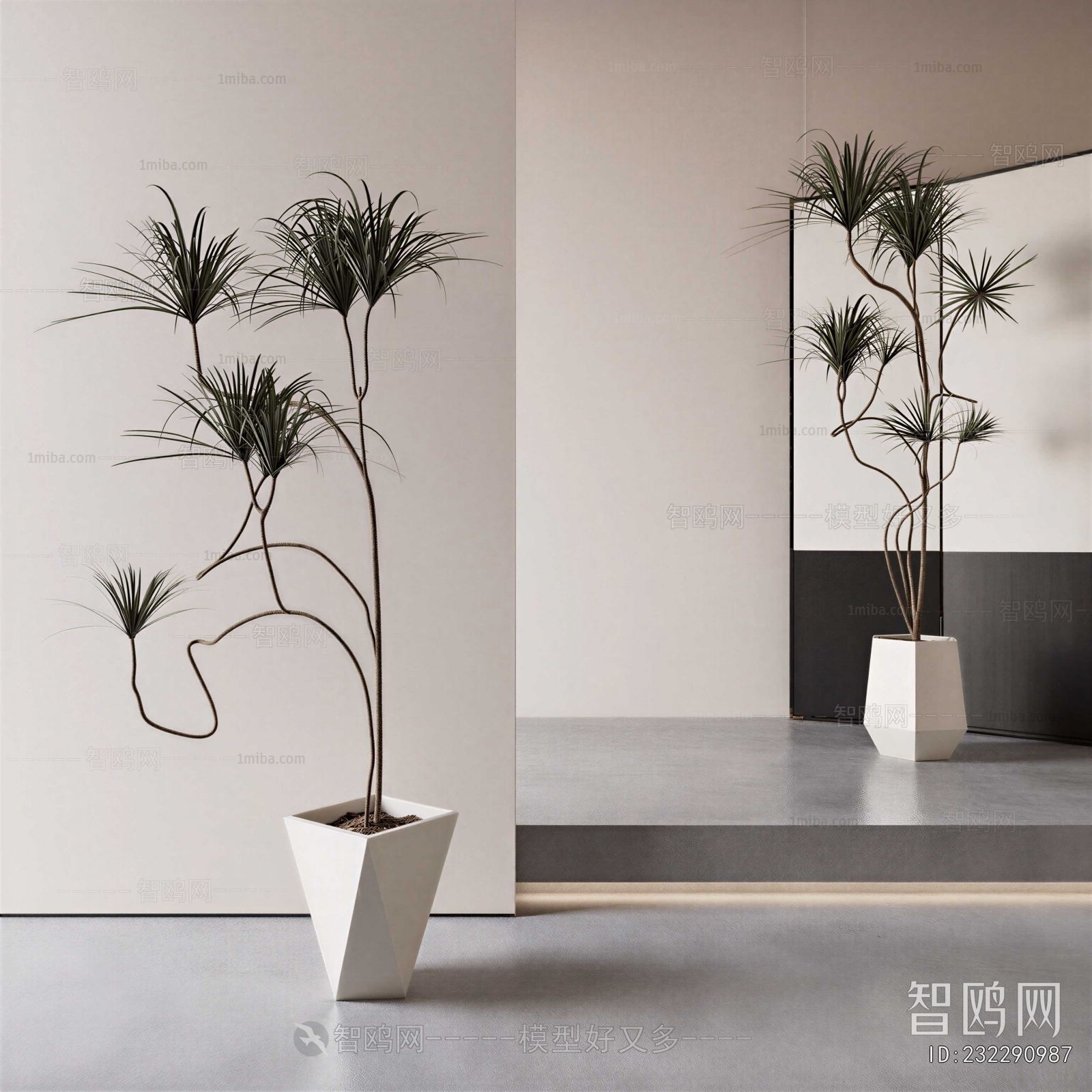 Modern Ground Green Plant Potted Plants