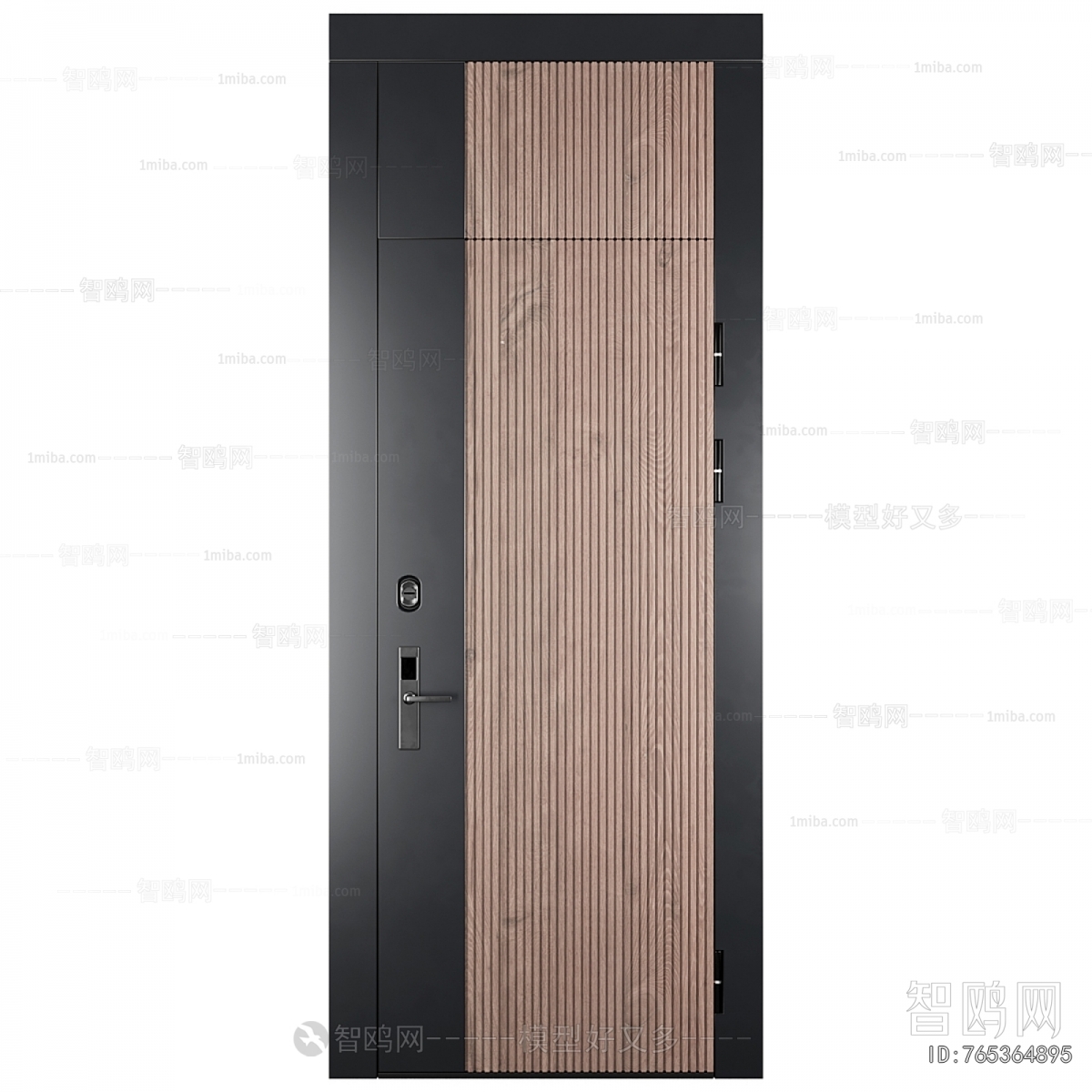 Modern Entrance Door