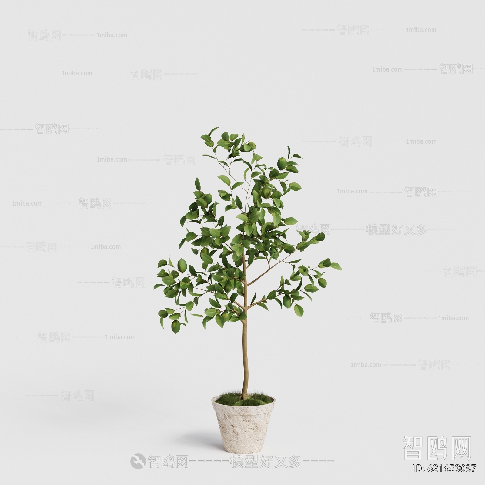 Modern Ground Green Plant Potted Plants