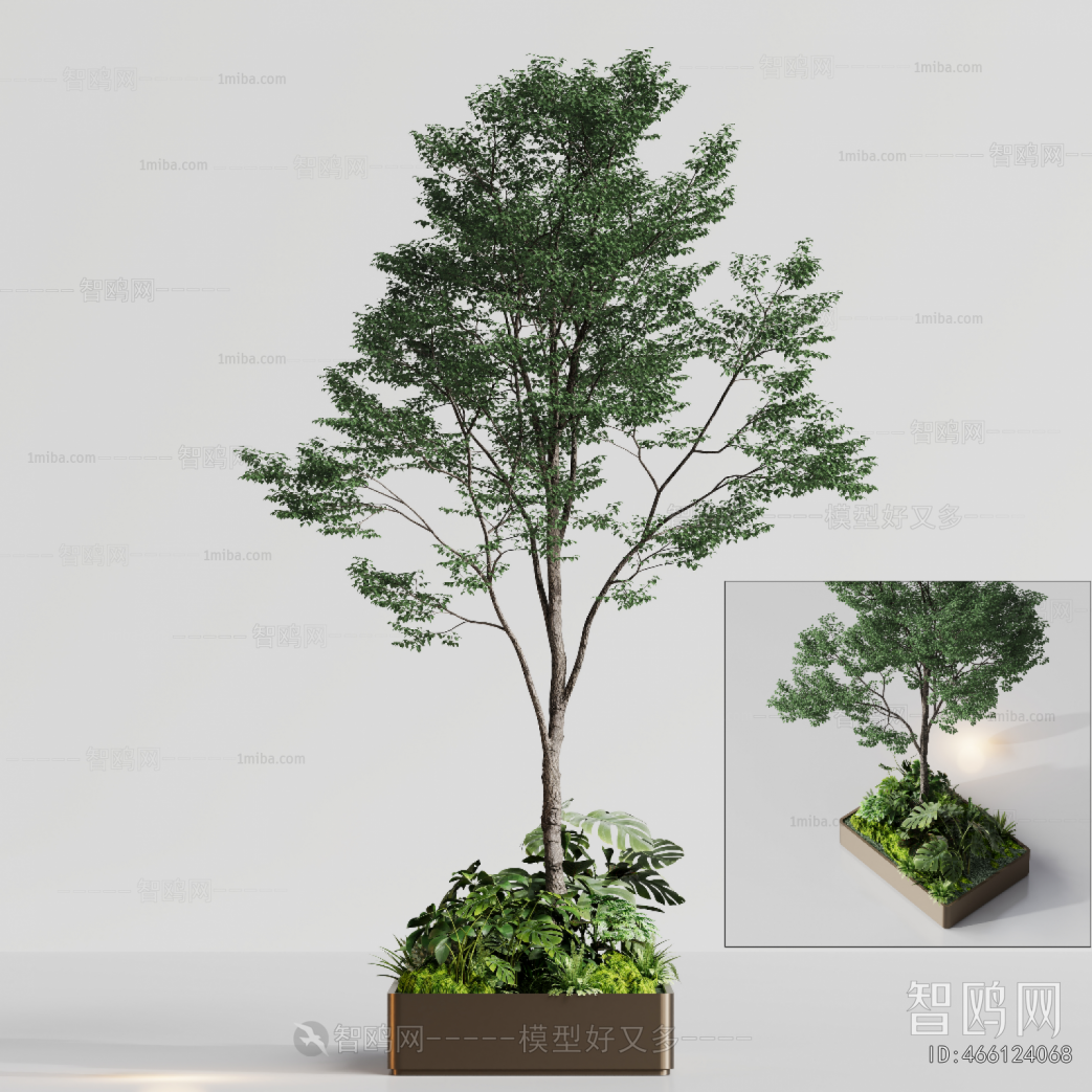 Modern Flower Bed, Flower Bowl, Flower Box