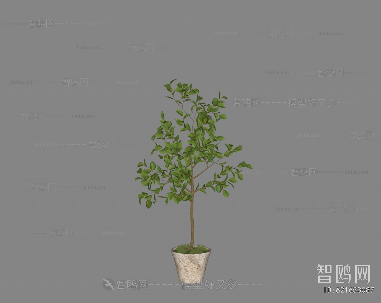 Modern Ground Green Plant Potted Plants