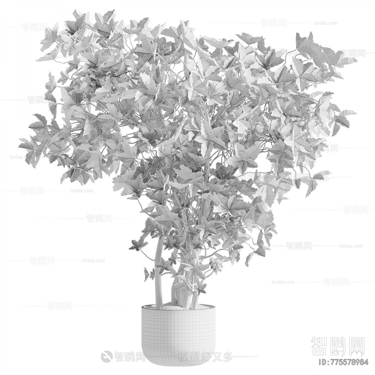 Modern Ground Green Plant Potted Plants