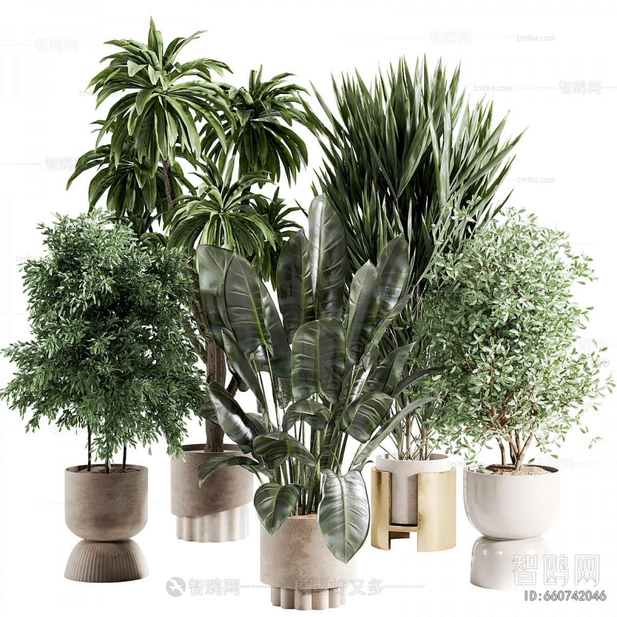 Modern Ground Green Plant Potted Plants