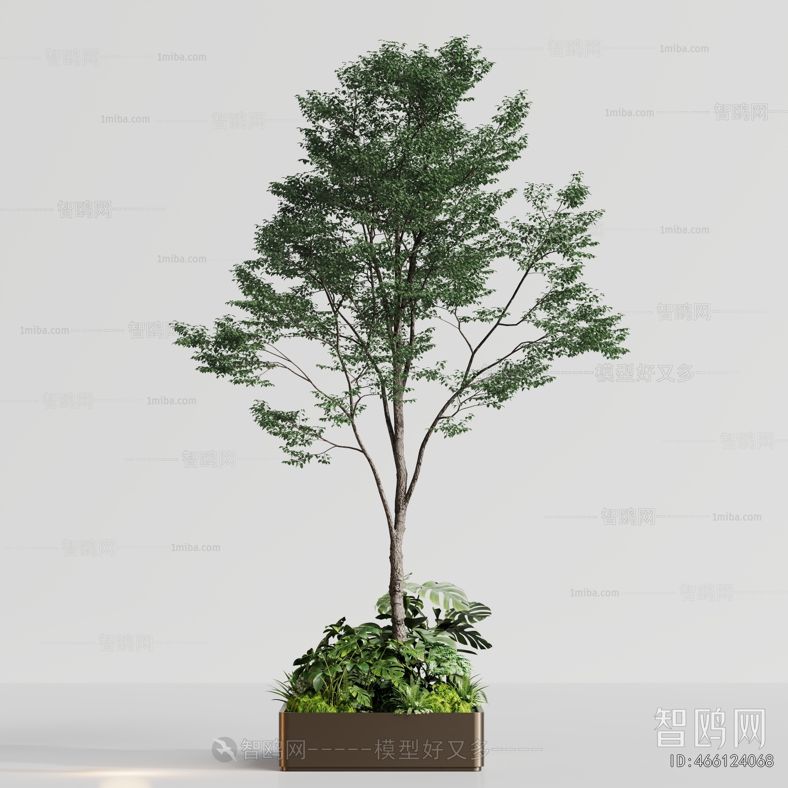 Modern Flower Bed, Flower Bowl, Flower Box