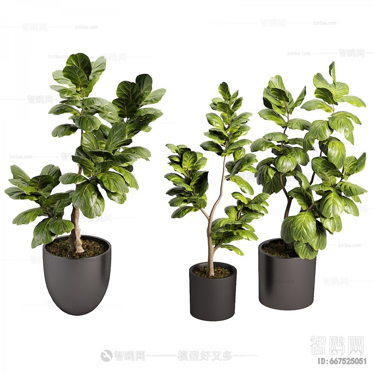 Modern Ground Green Plant Potted Plants